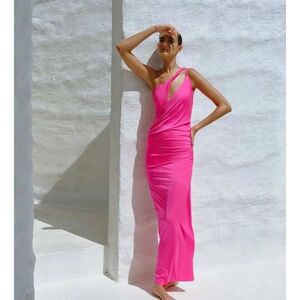 New, never worn Baobab Lia Dress in Fucsia